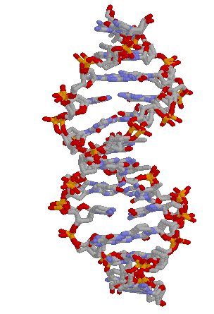 DNA