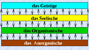 ontologische Schichten nach Riedl